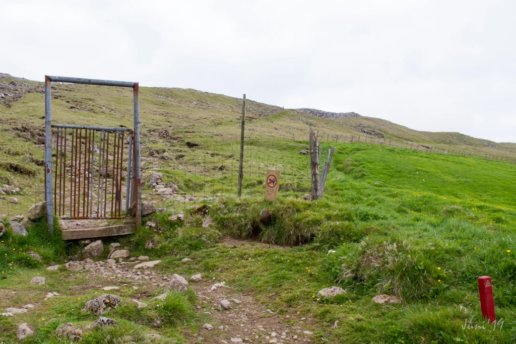 byrjan-t-rshavn-2019-06-18-torshavn---velbasta-ur-og-reynsm-li-015-img-0004-jpg