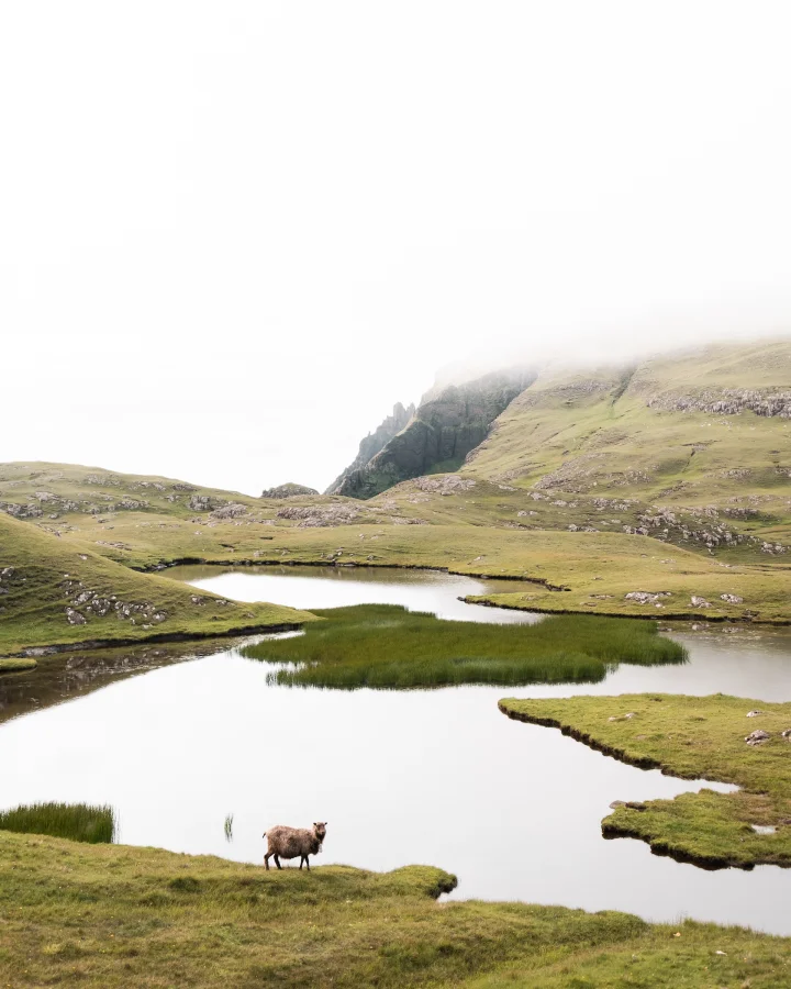 Lopranseiði