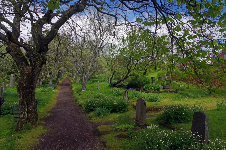 The old Cemetary