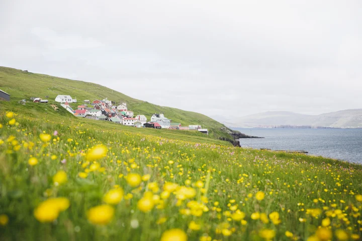 Skúvoy