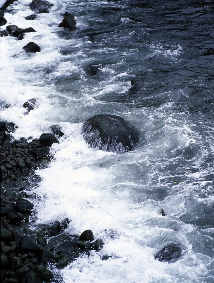 Tjaldavík